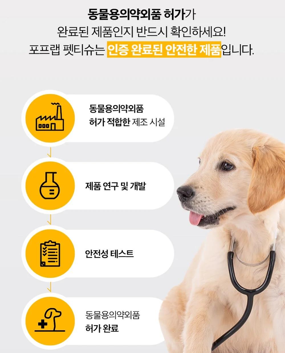 버뮤다 팬츠 6