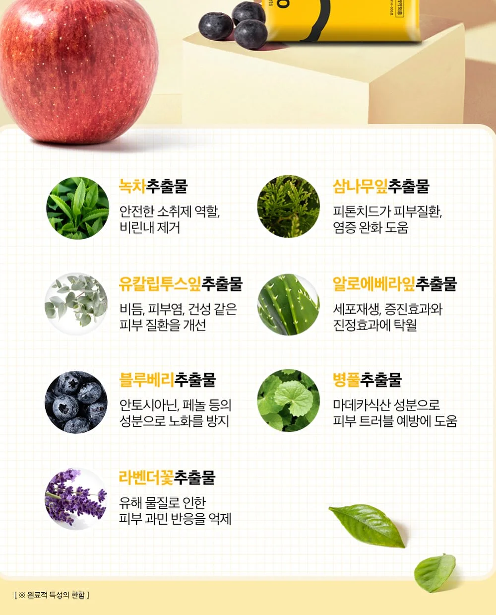 버뮤다 팬츠 7