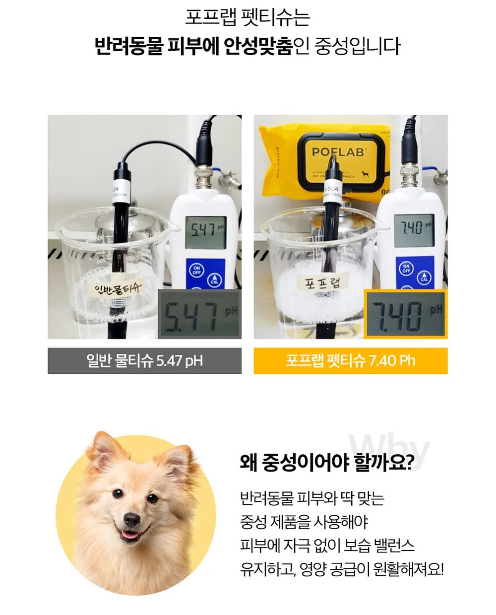 버뮤다 팬츠 9