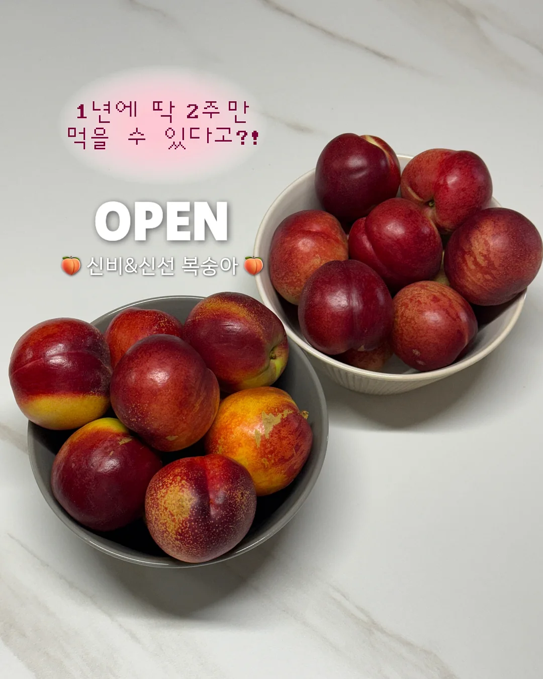 소르네 캘린더플레이트 1