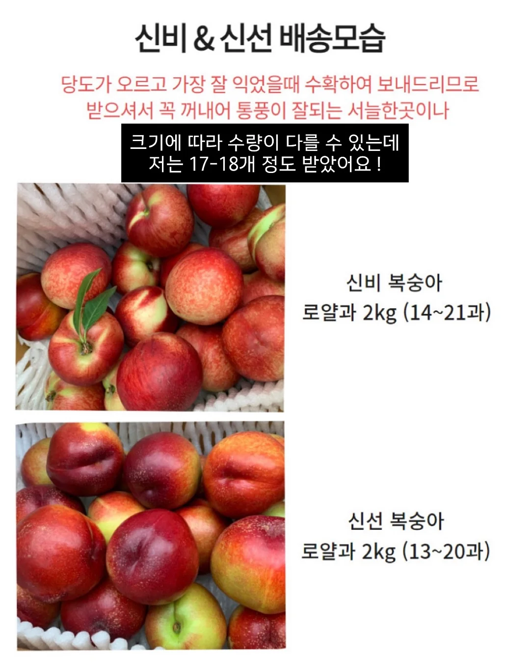소르네 캘린더플레이트 8