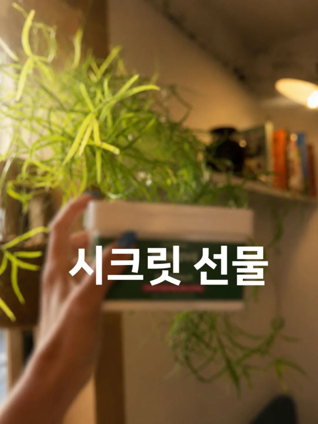 MAC 무화과 립스틱 7