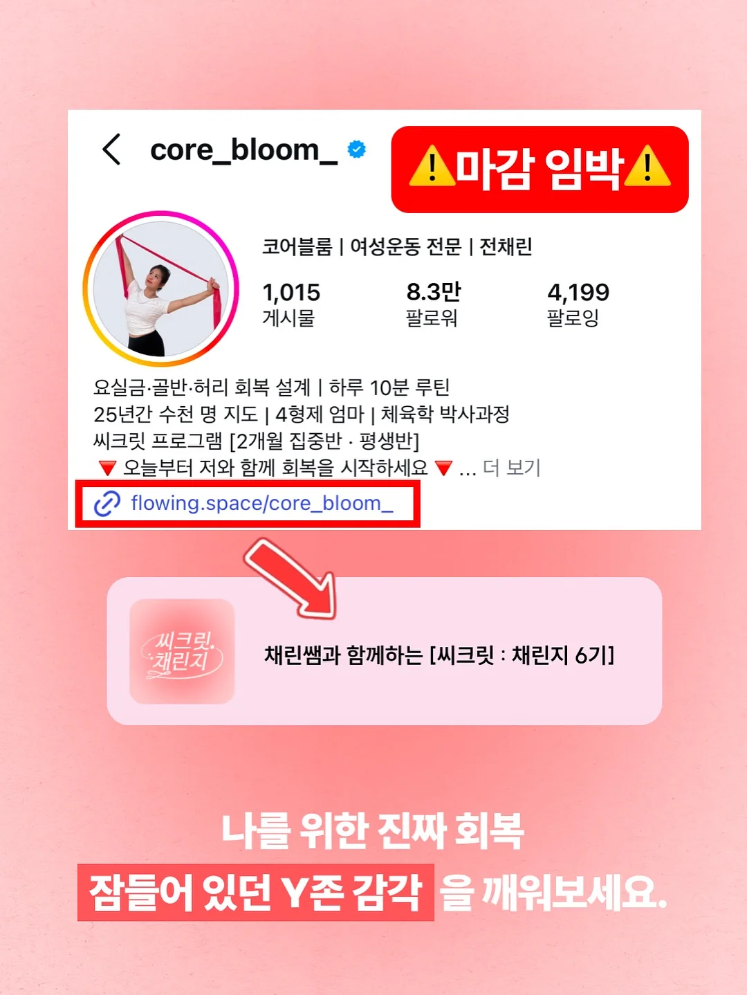 레이스 자켓 13