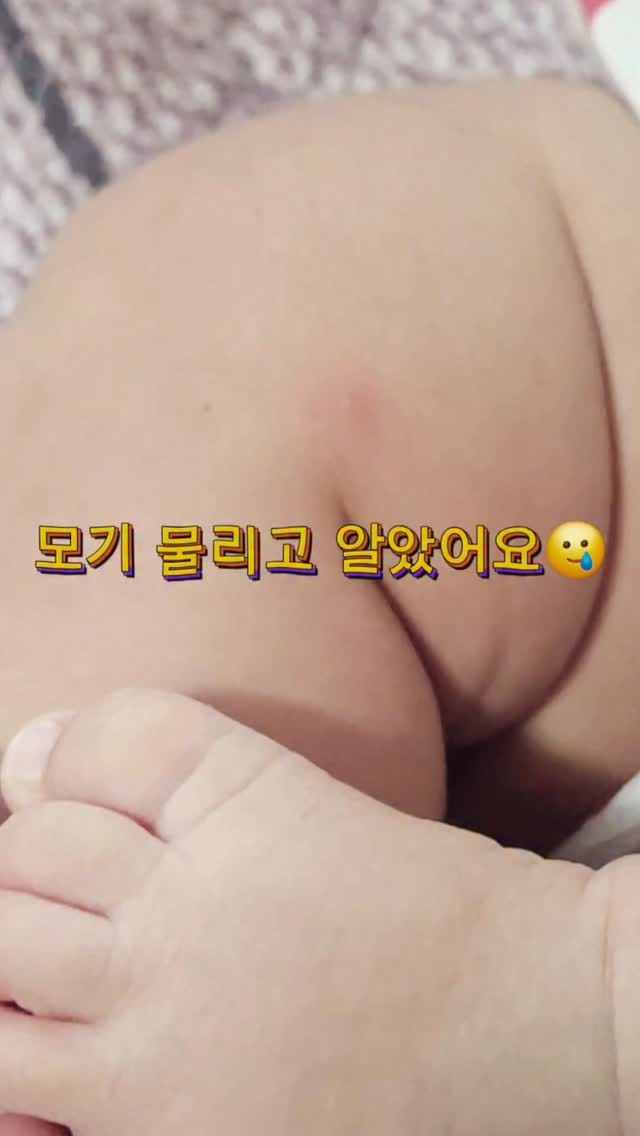 FRED: Bottle Bites