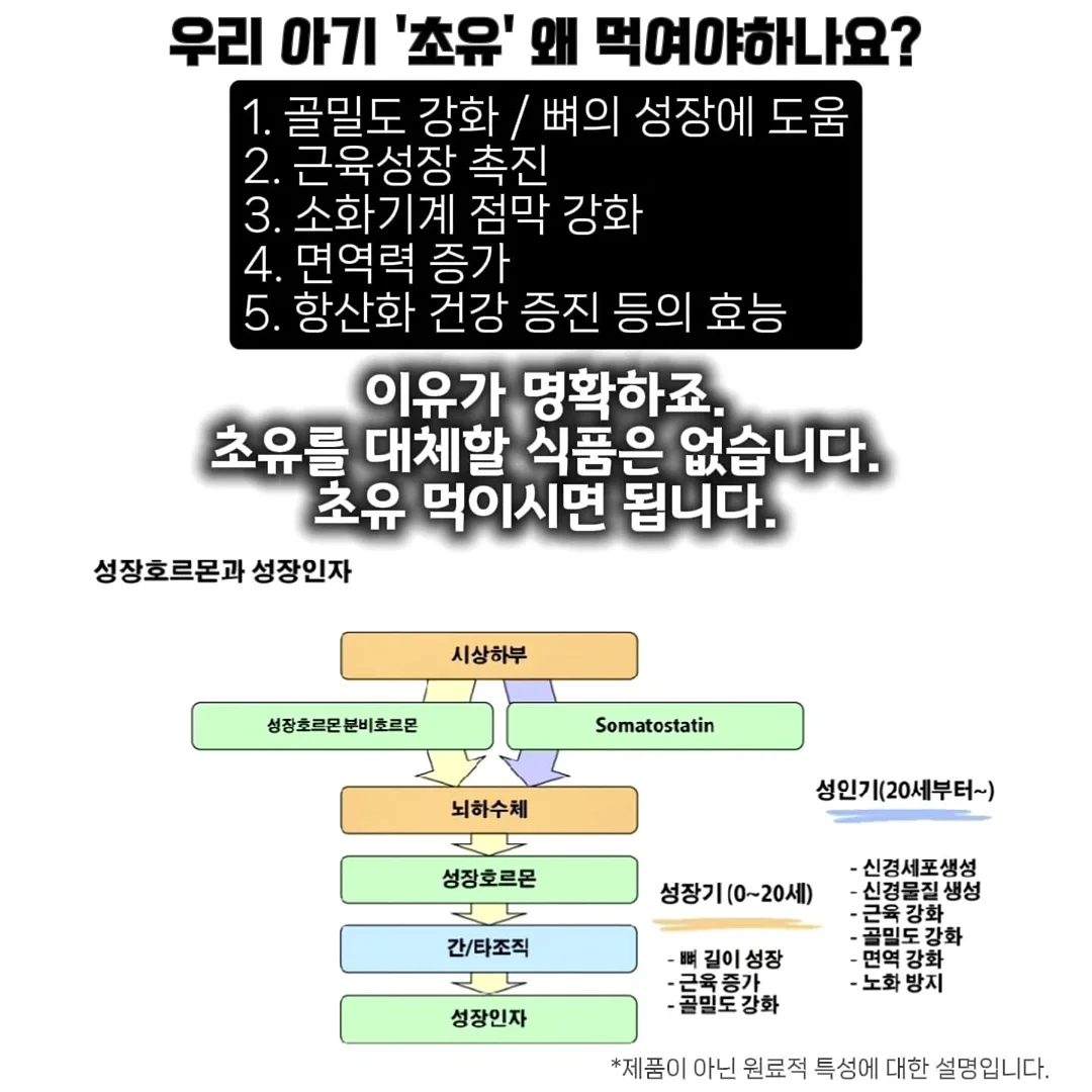 툴레 카시트 전용 발판 세트 8