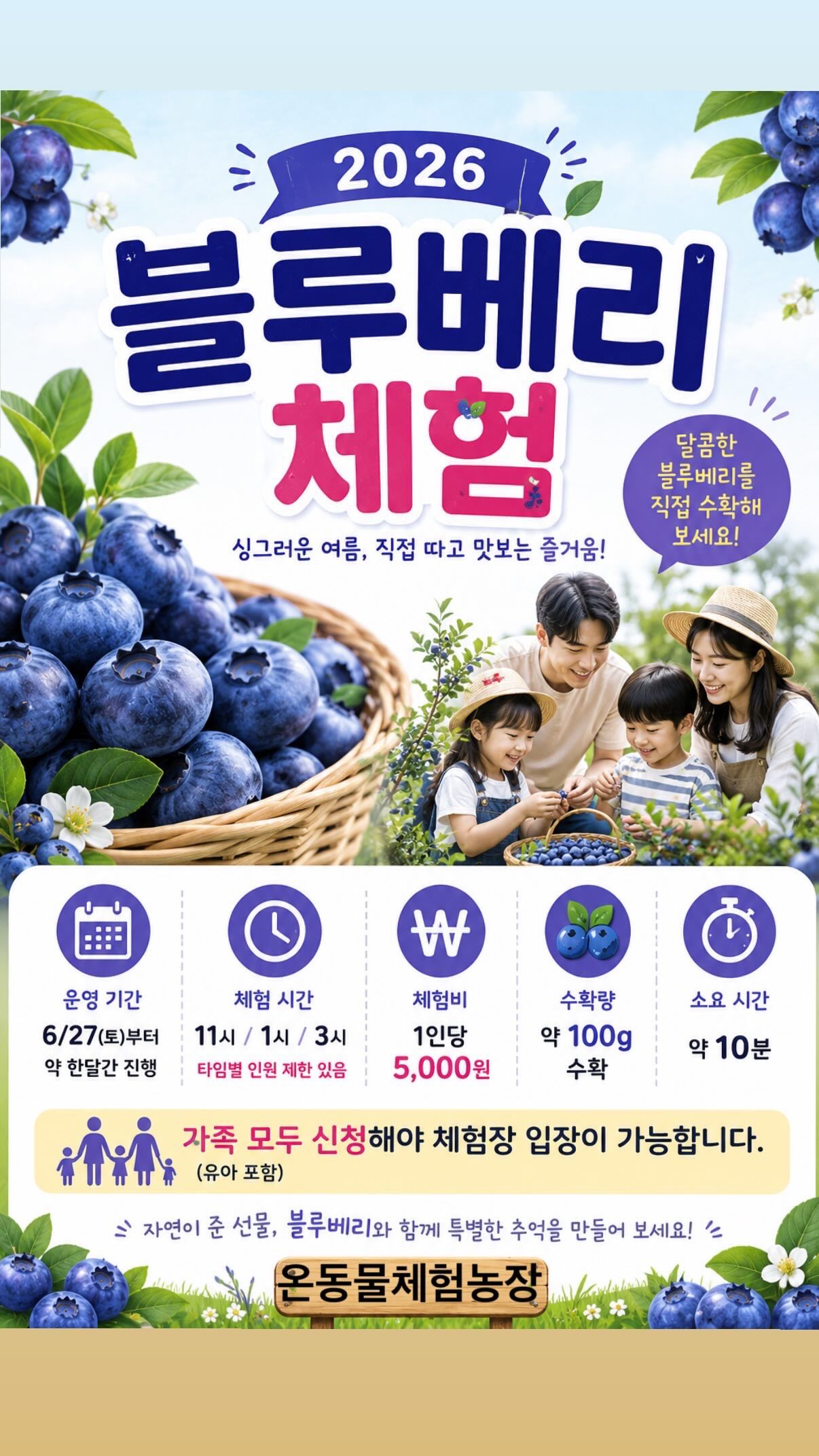 맥스컷 다이어트 허리업