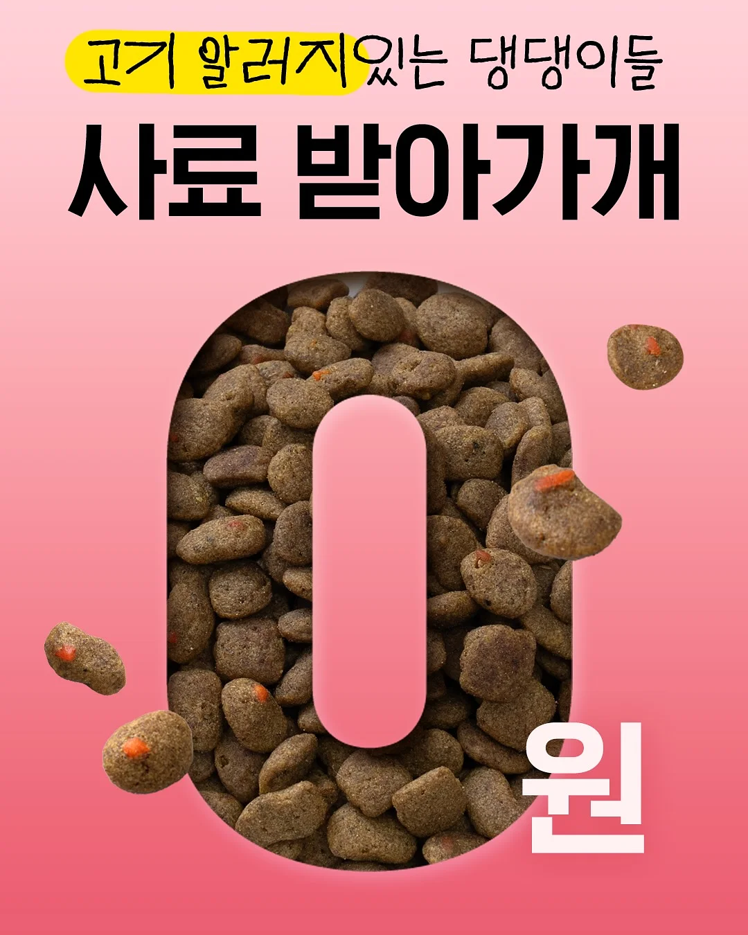 베베쿡 배도라지스틱 1