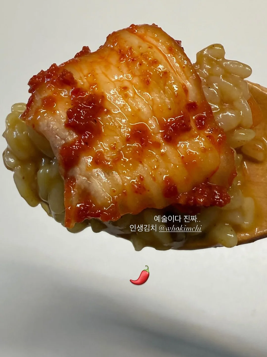 냉동 국산 쭈꾸미 13