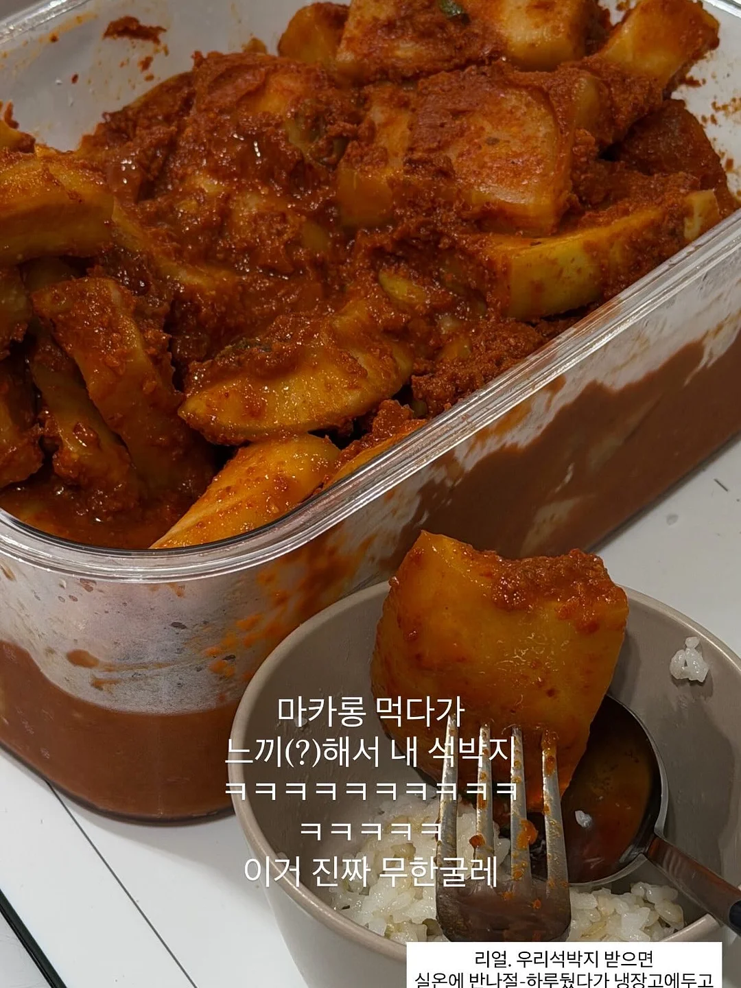 냉동 국산 쭈꾸미 17