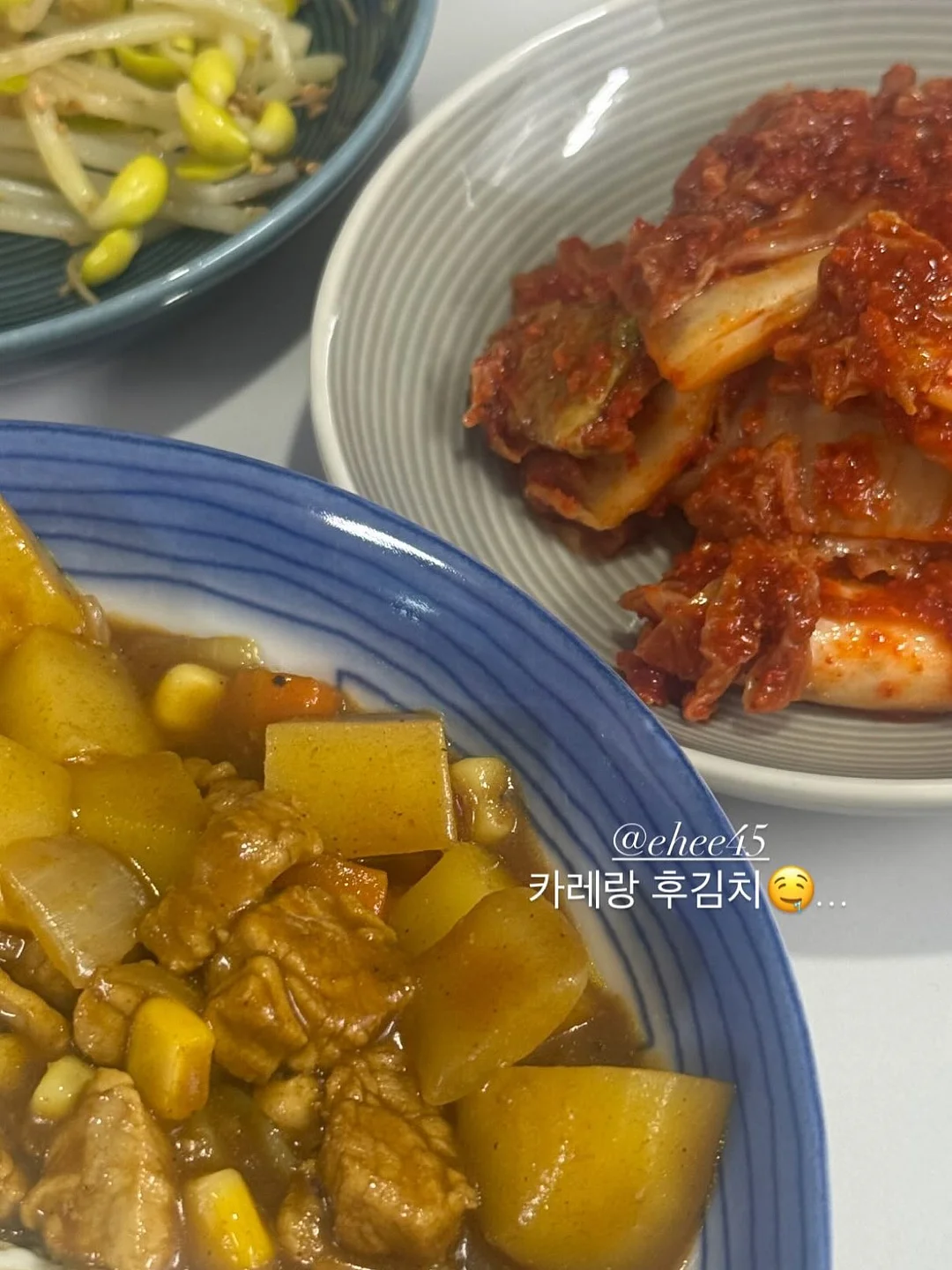 냉동 국산 쭈꾸미 18
