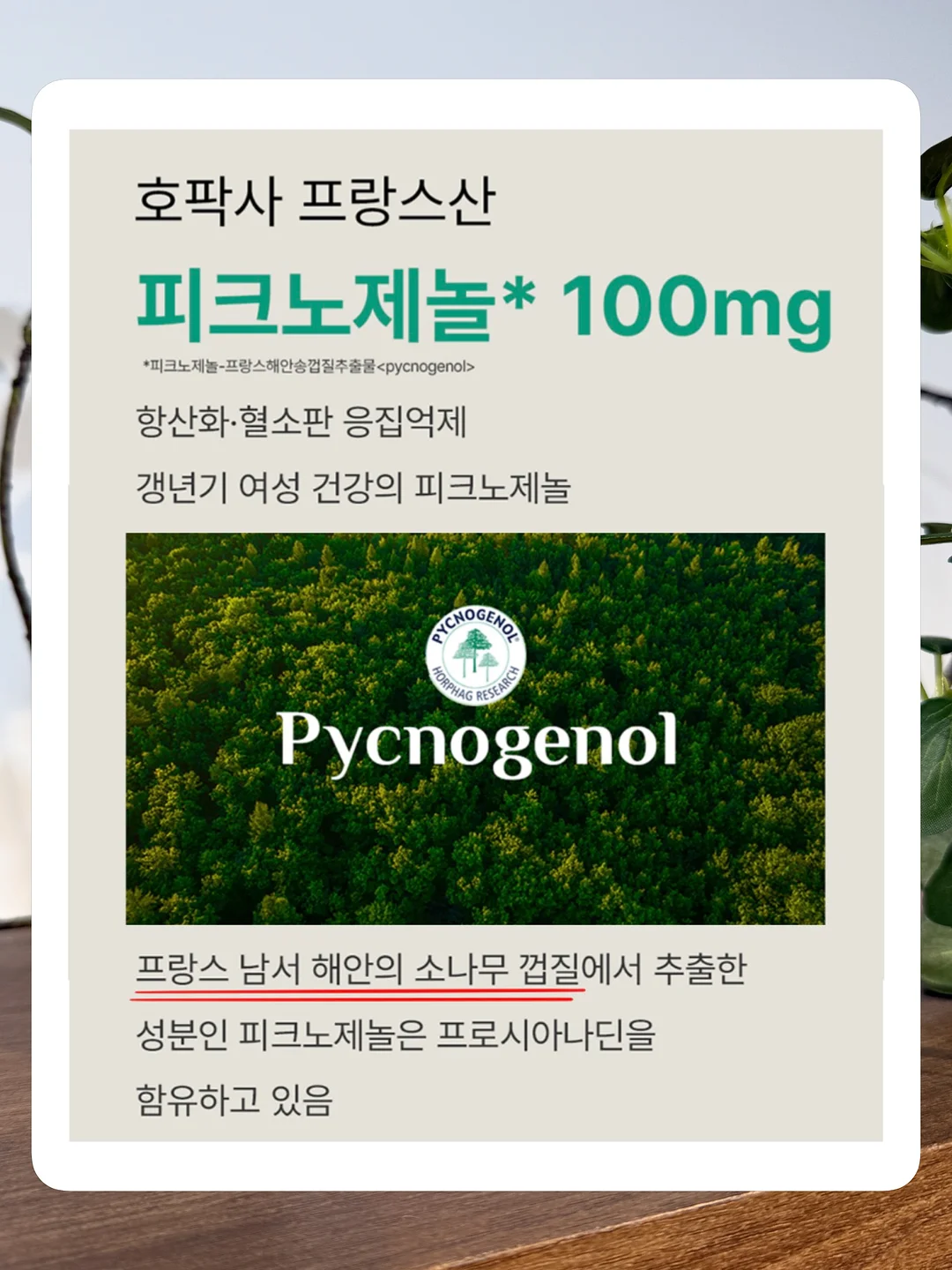 바닐라 라떼 7