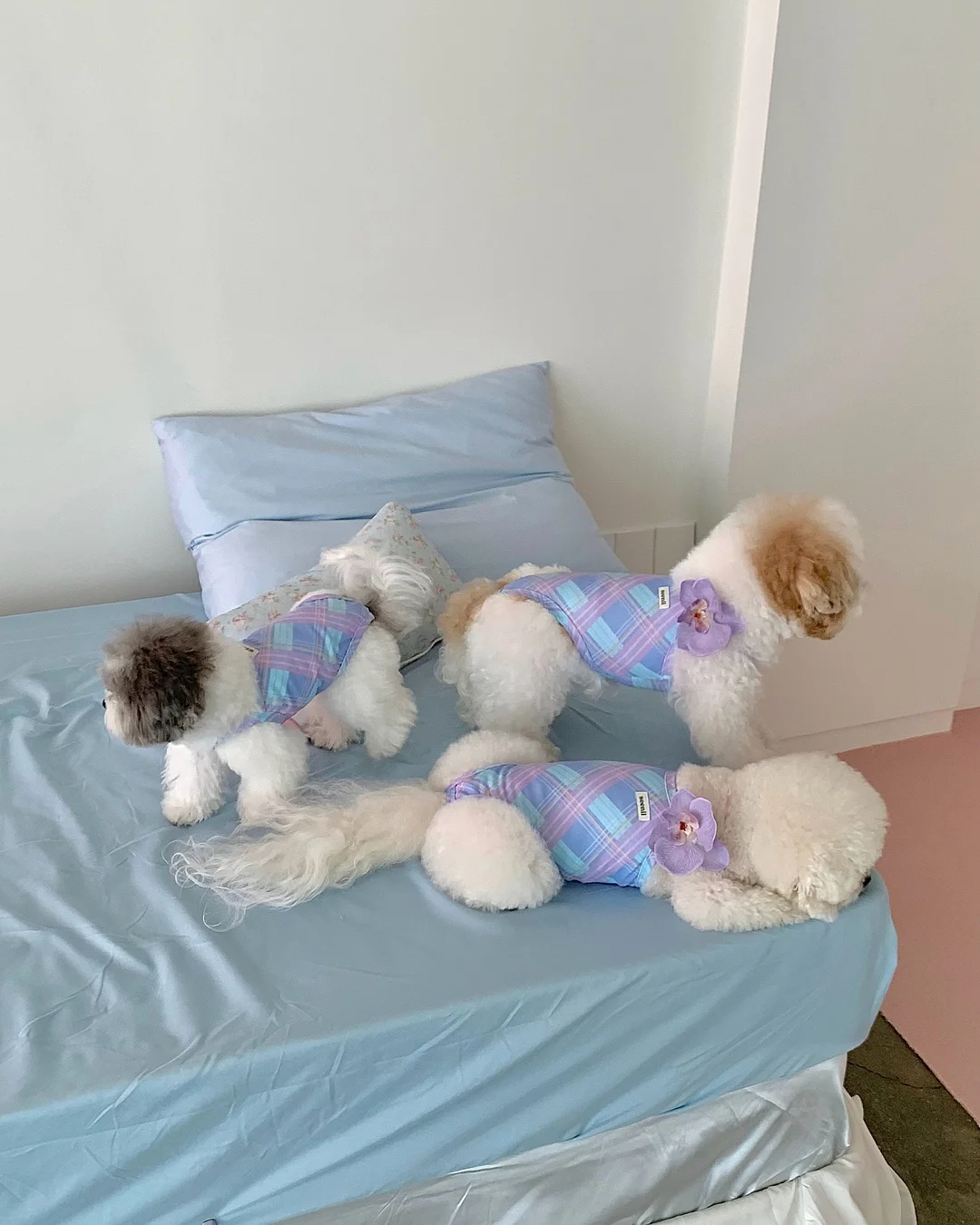 갸또 쇼콜라 레시피북 9