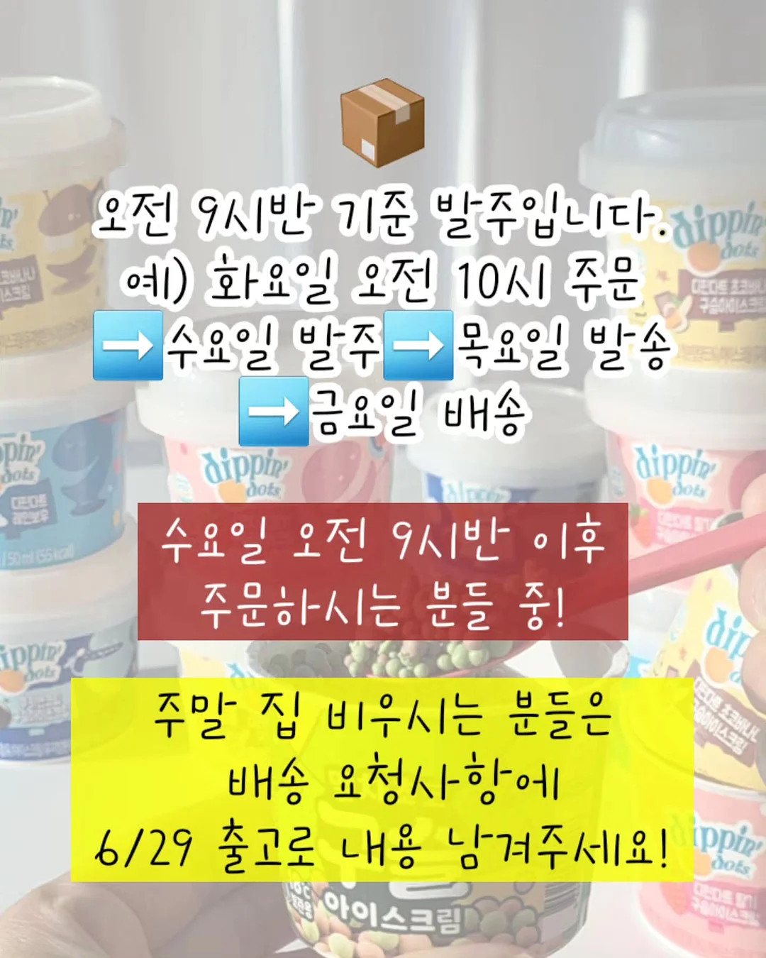 수영복 5