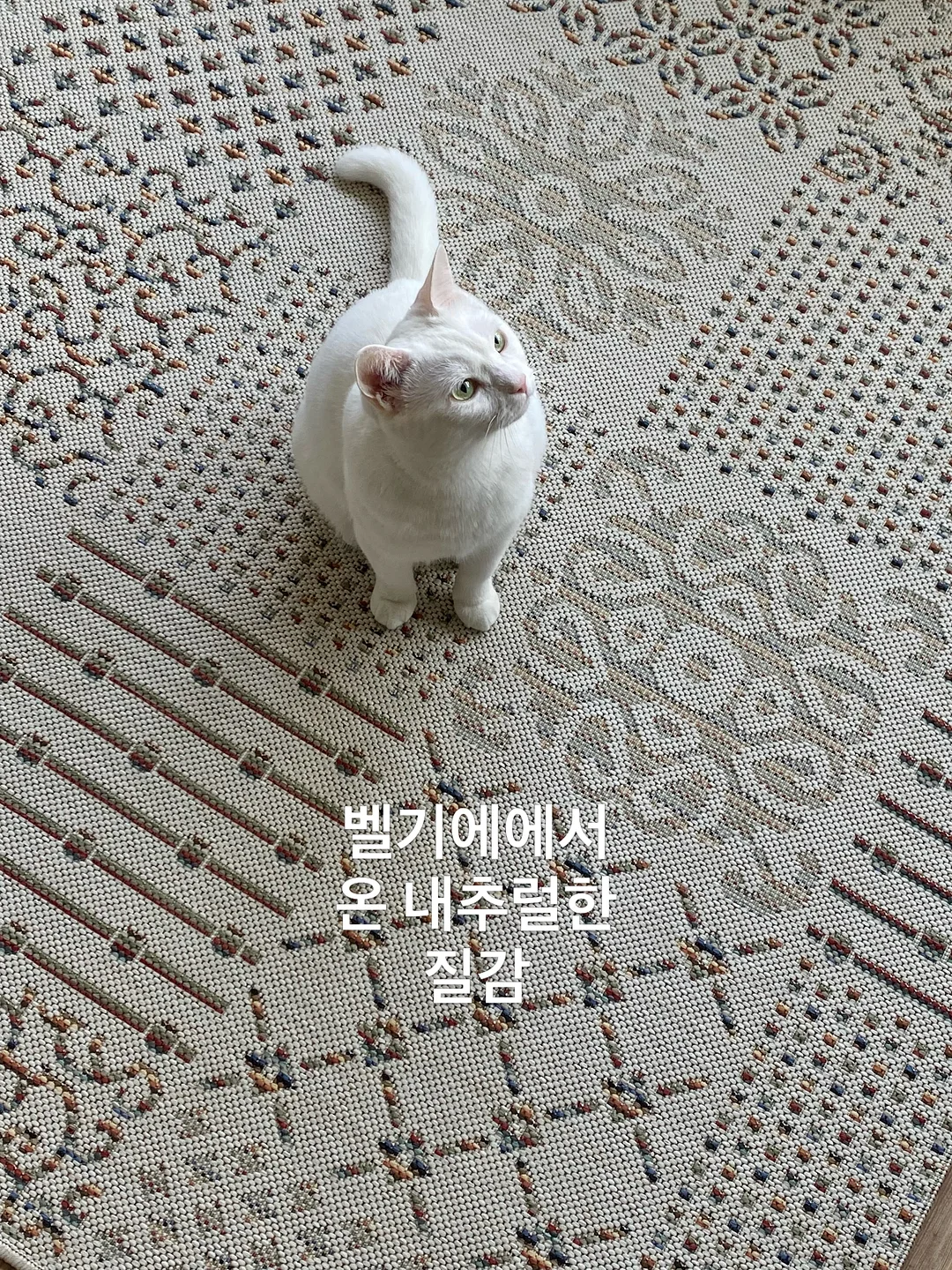 Top 1 종목 2