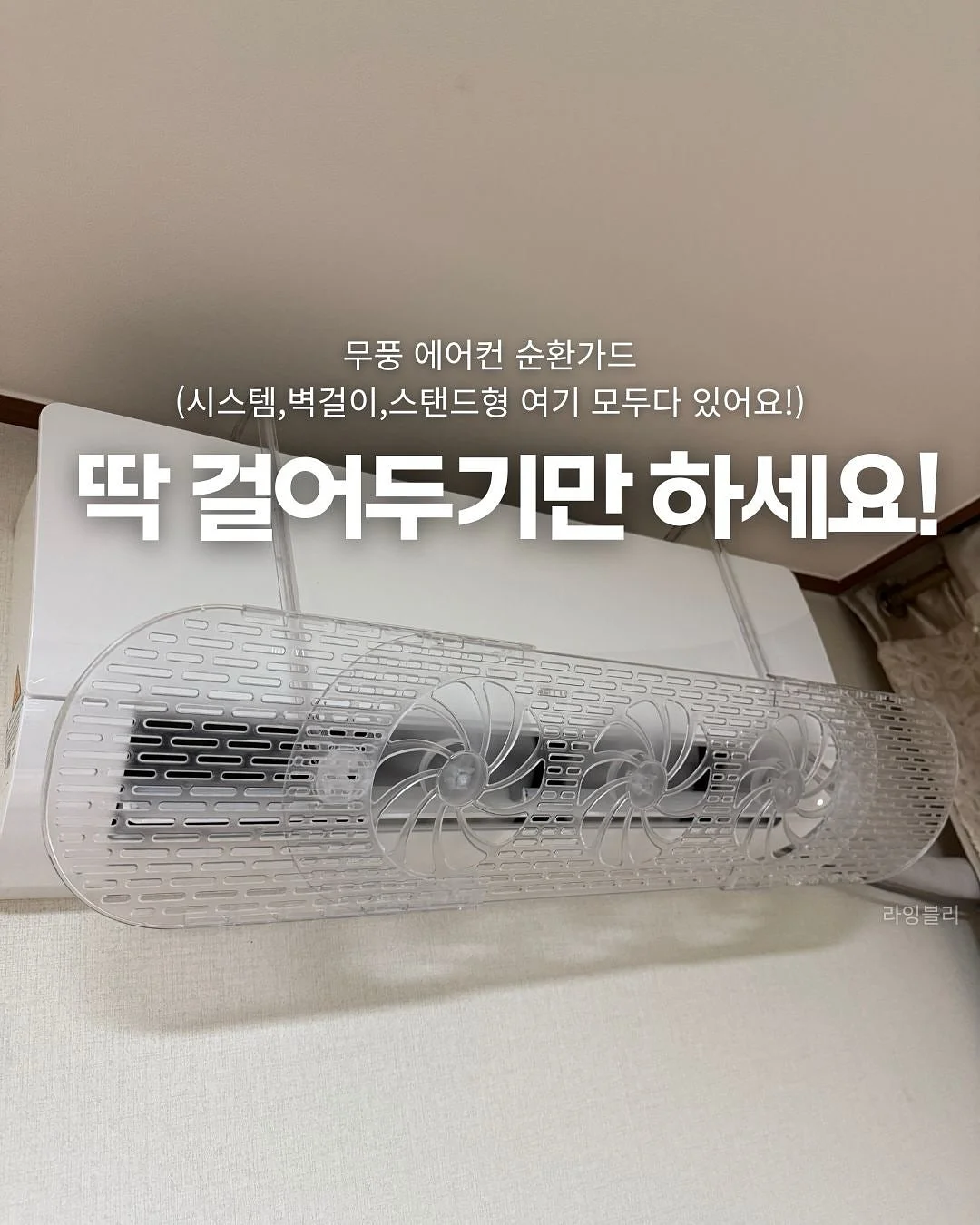 강아지 야광 신발 1