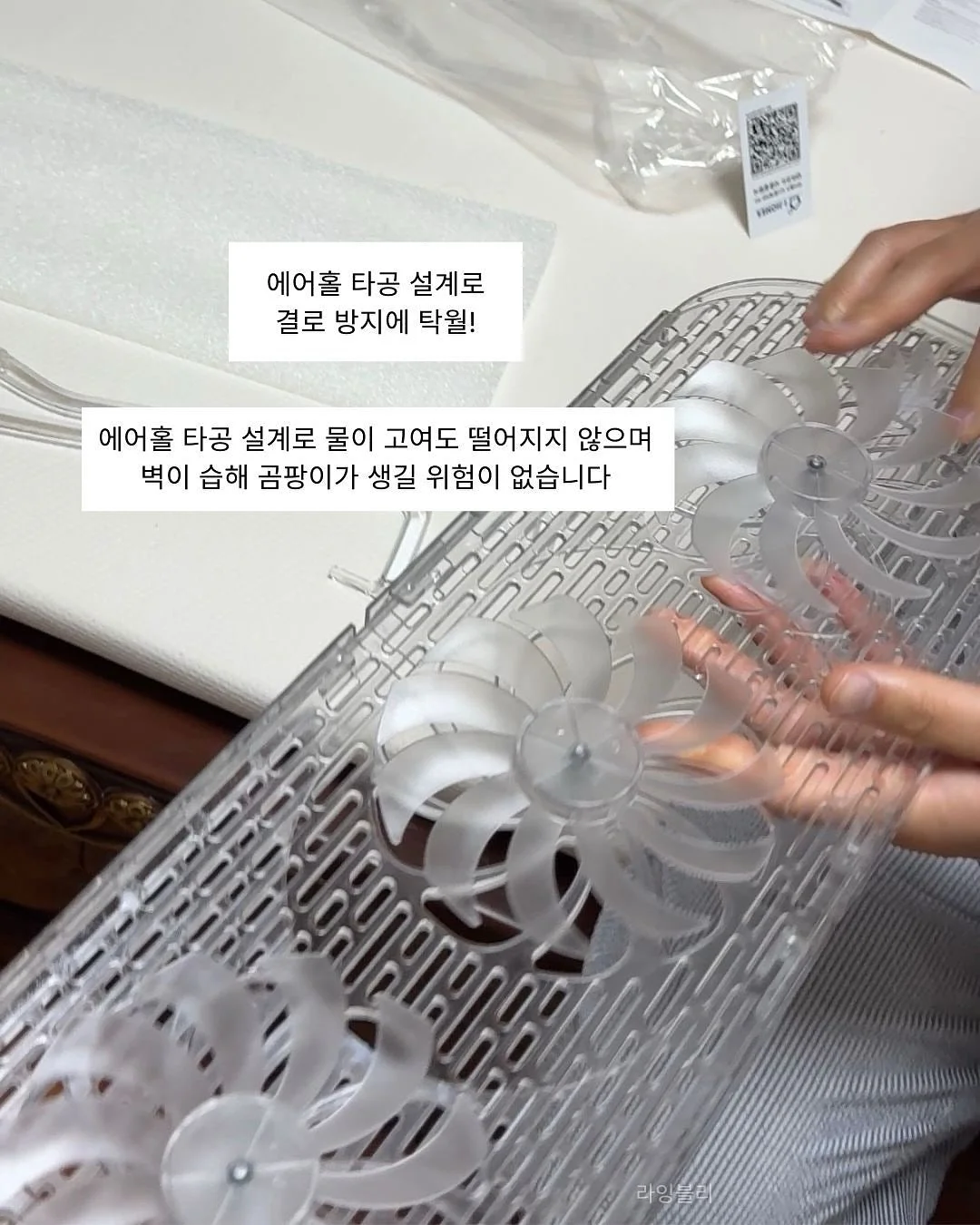 강아지 야광 신발 12