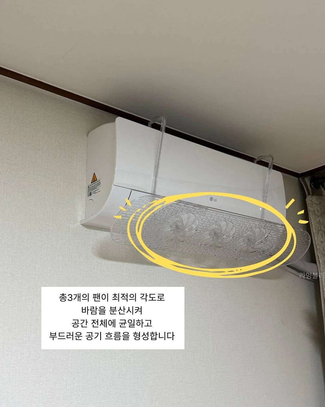 강아지 야광 신발 3