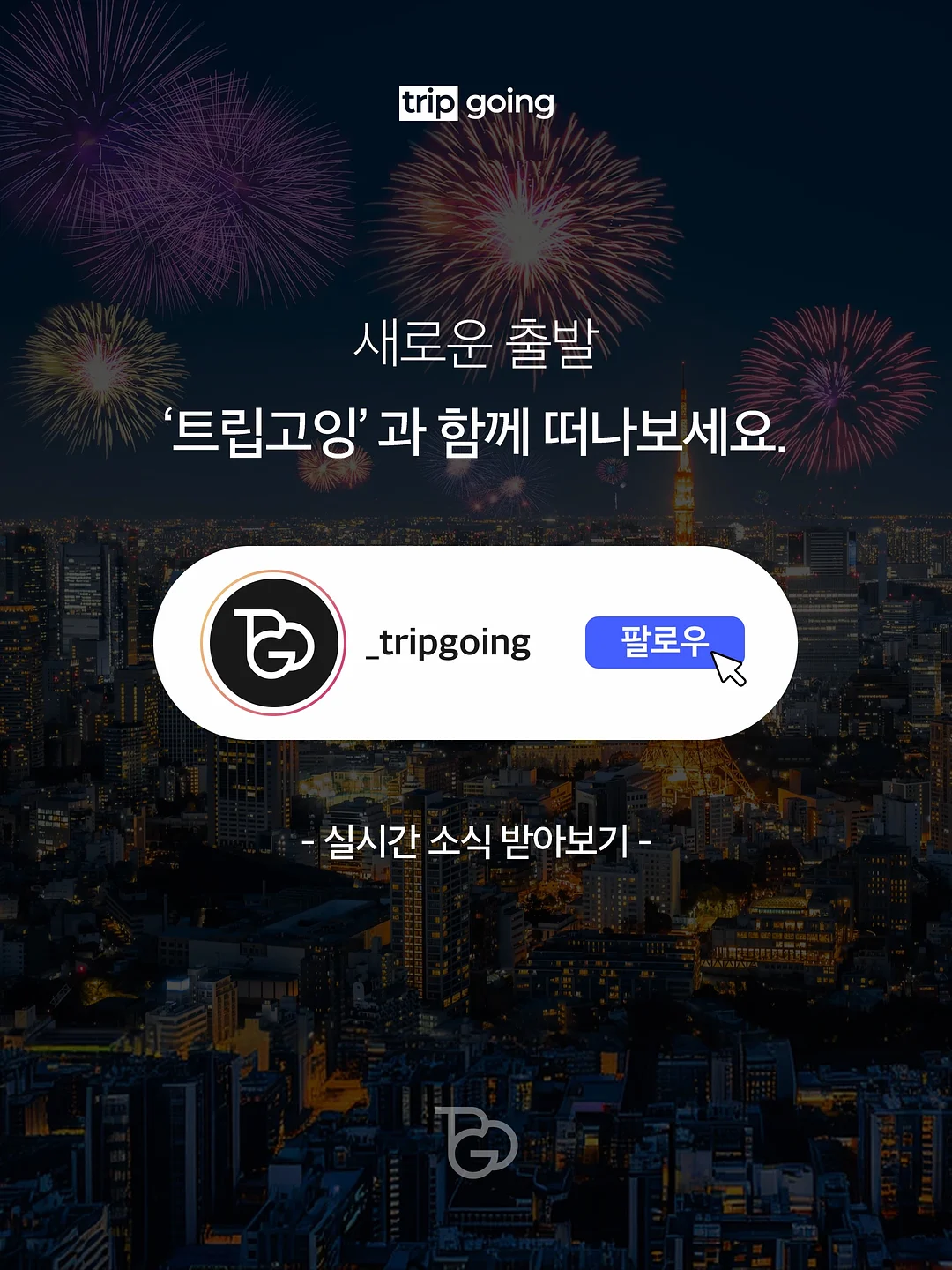 쌀케이크 7