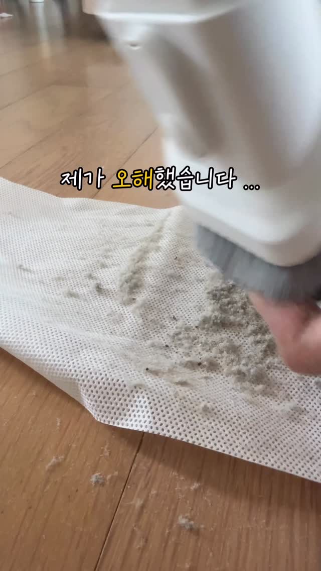 필로덴드론 플로리다 뷰티 그린