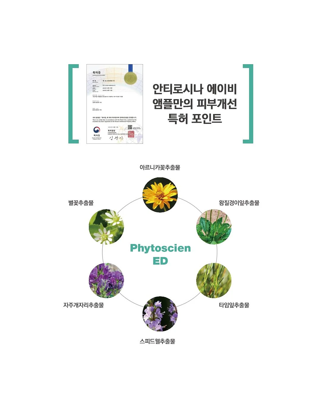 스톤 폭스 4