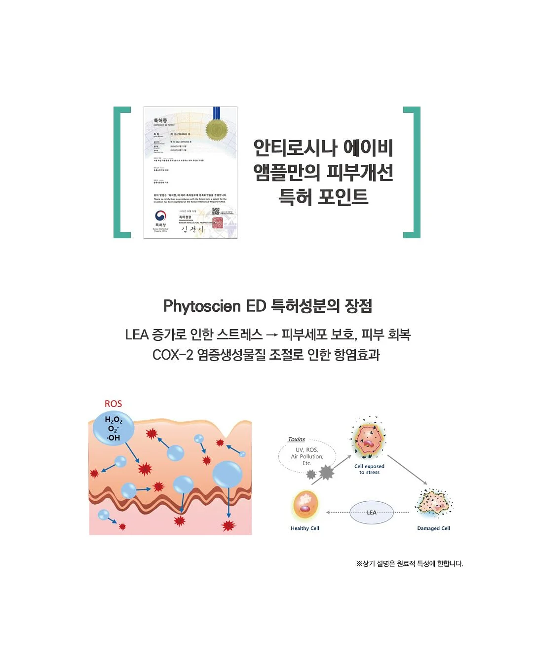 스톤 폭스 5