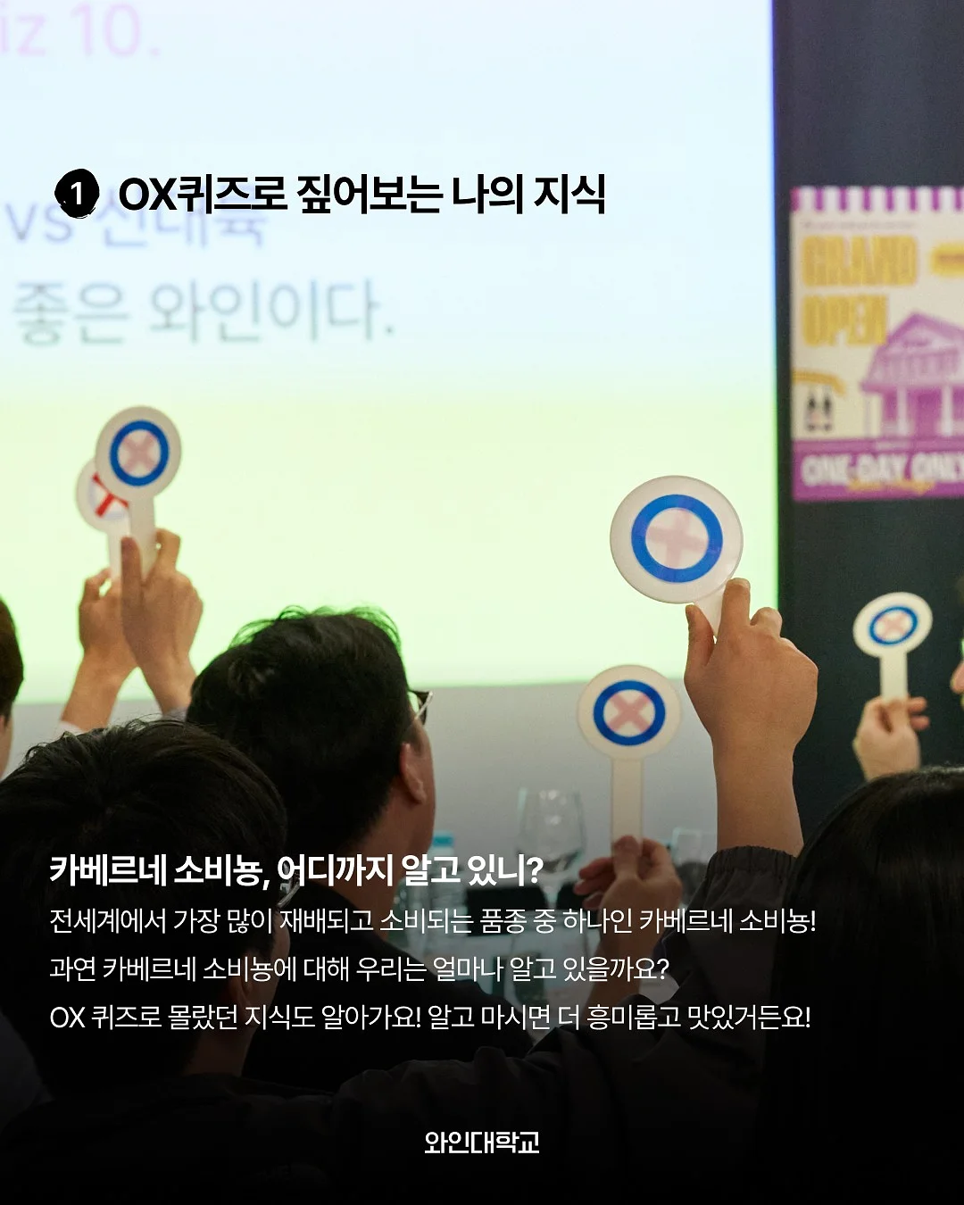 간식 선물 3