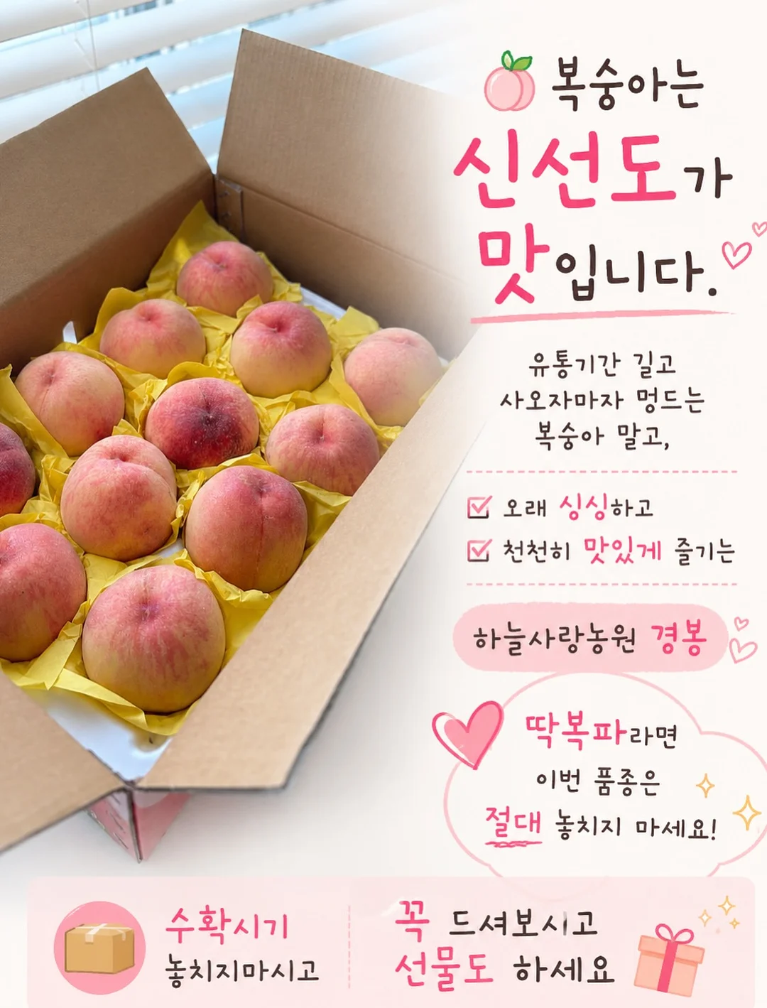 비죠 와이드 청바지 4