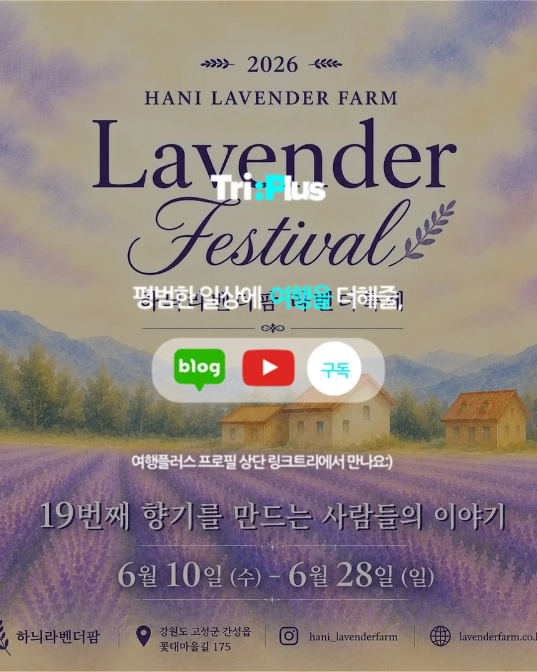 피터래빗 웨이퍼& 데니쉬 버터쿠키 12