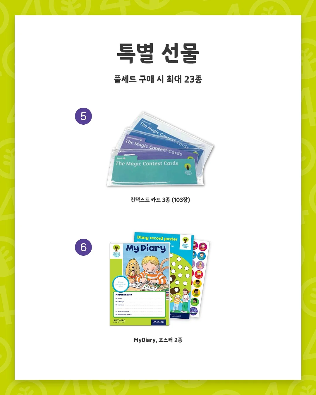 셋업 5