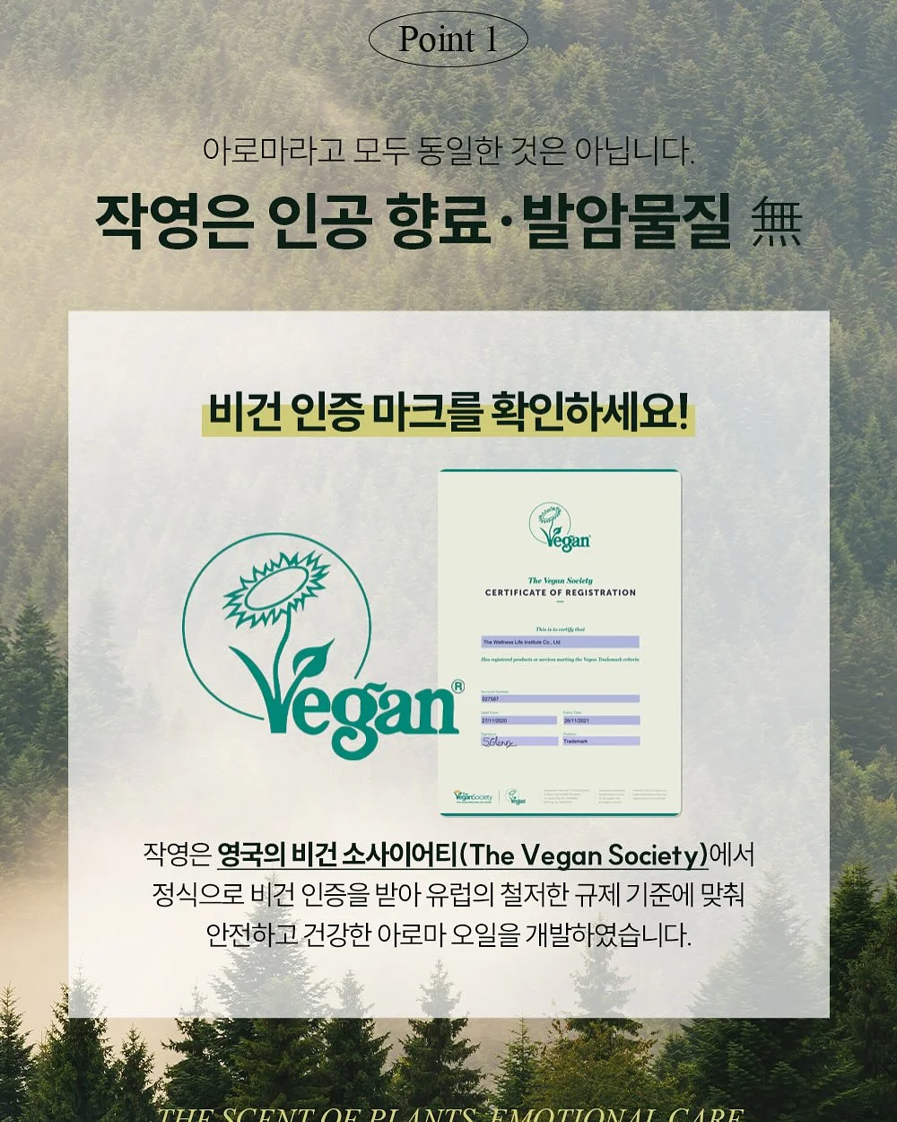 행주 세제 16