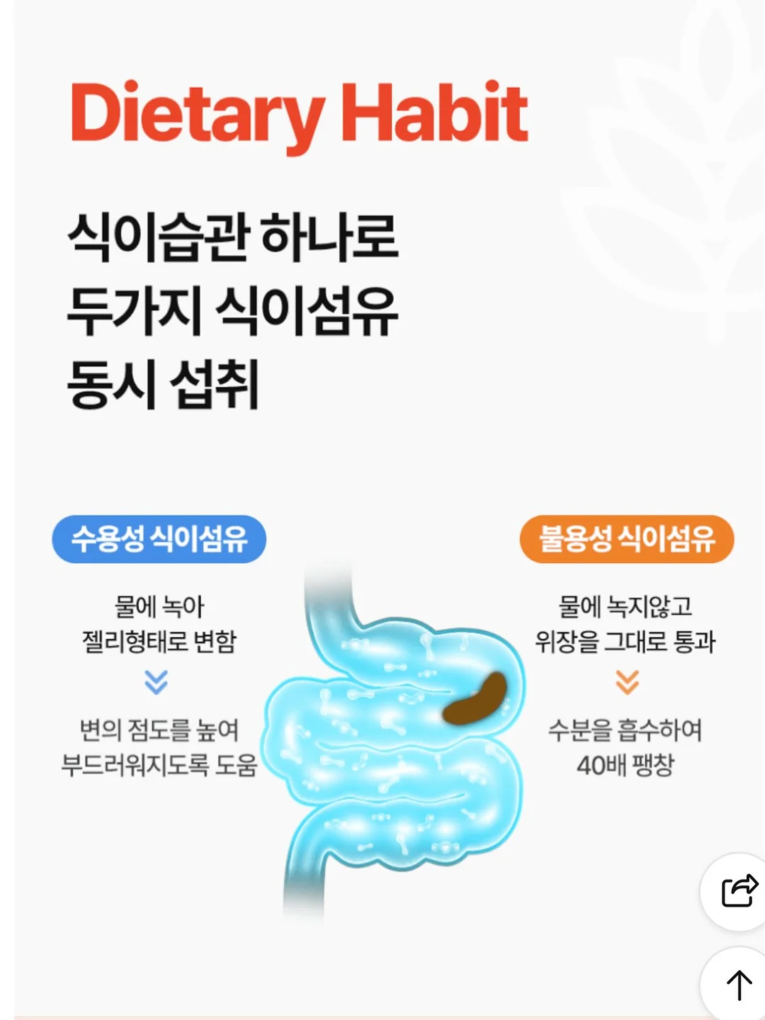 연예인 마사지볼 5