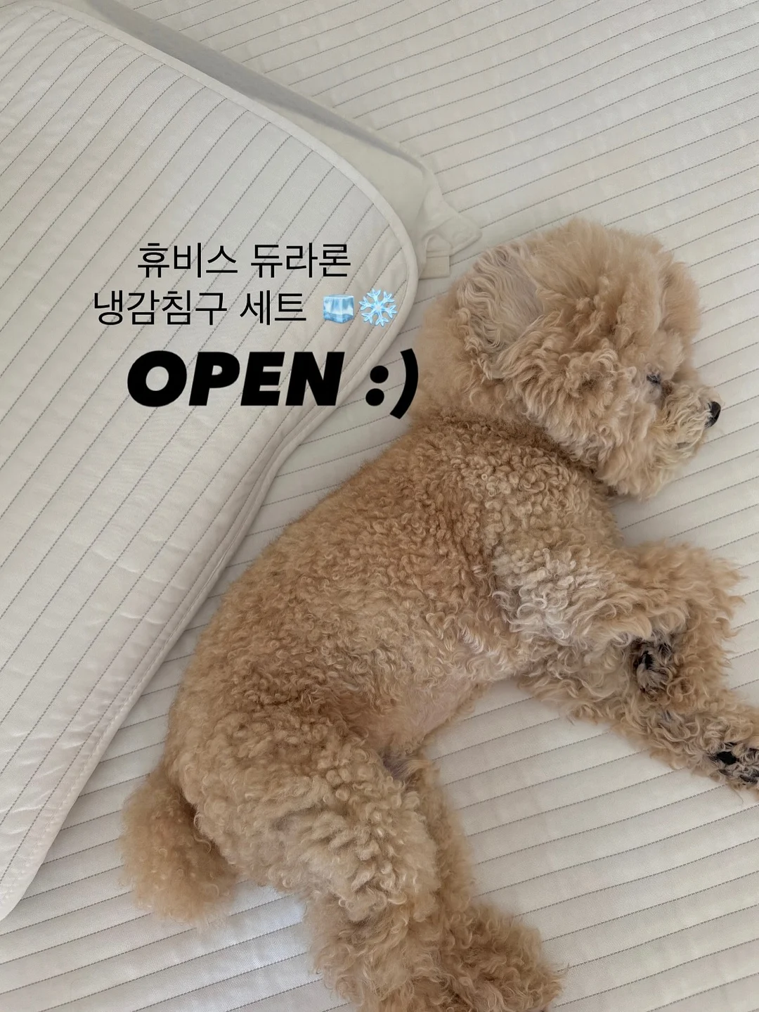 엤 이육육 맆 롱 트윌리 1