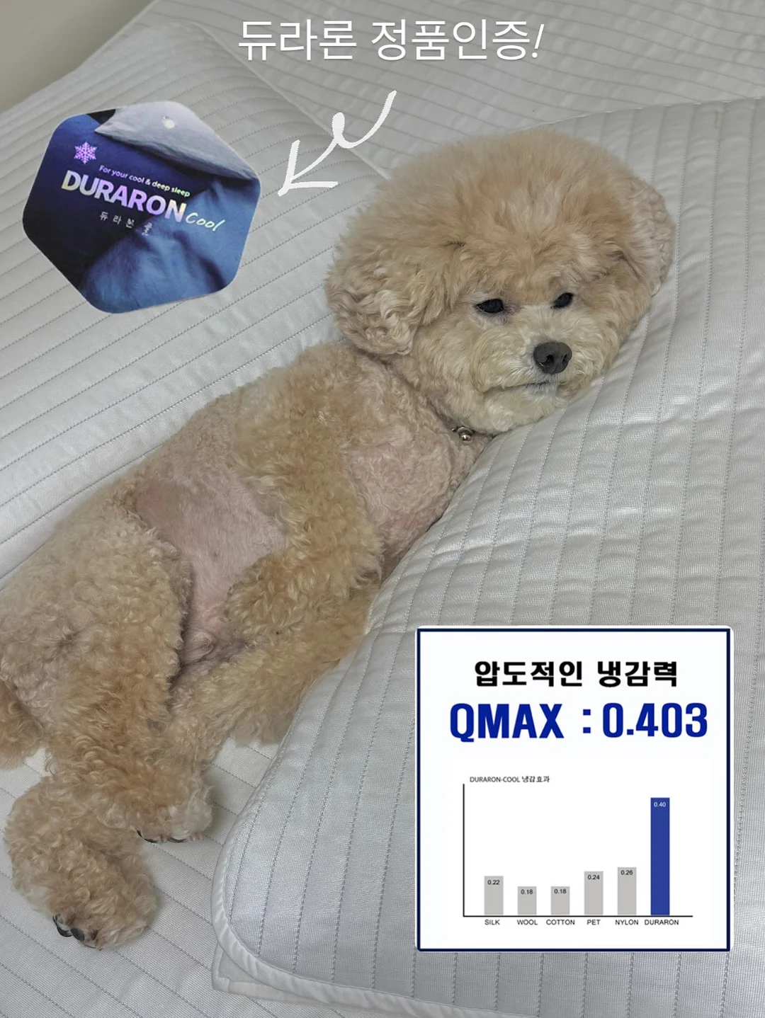 엤 이육육 맆 롱 트윌리 2