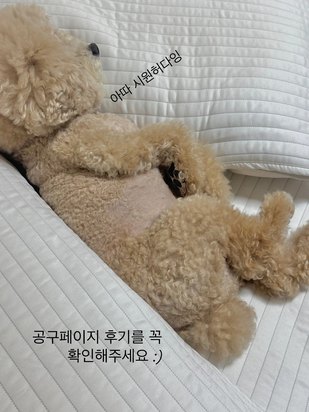 엤 이육육 맆 롱 트윌리 3