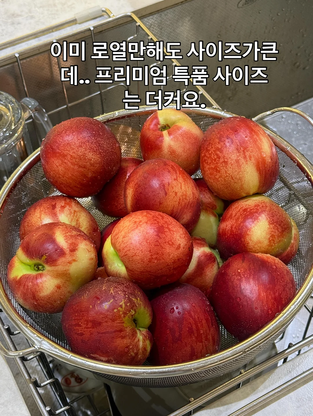 욕실 배수구 커버 1