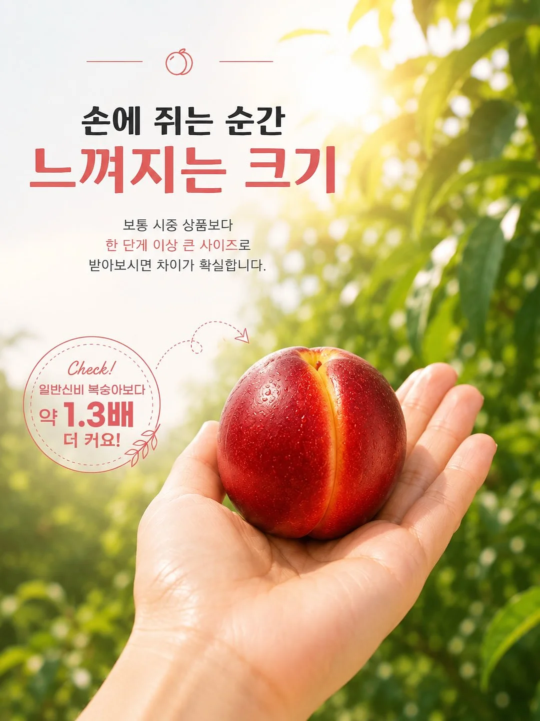 욕실 배수구 커버 12