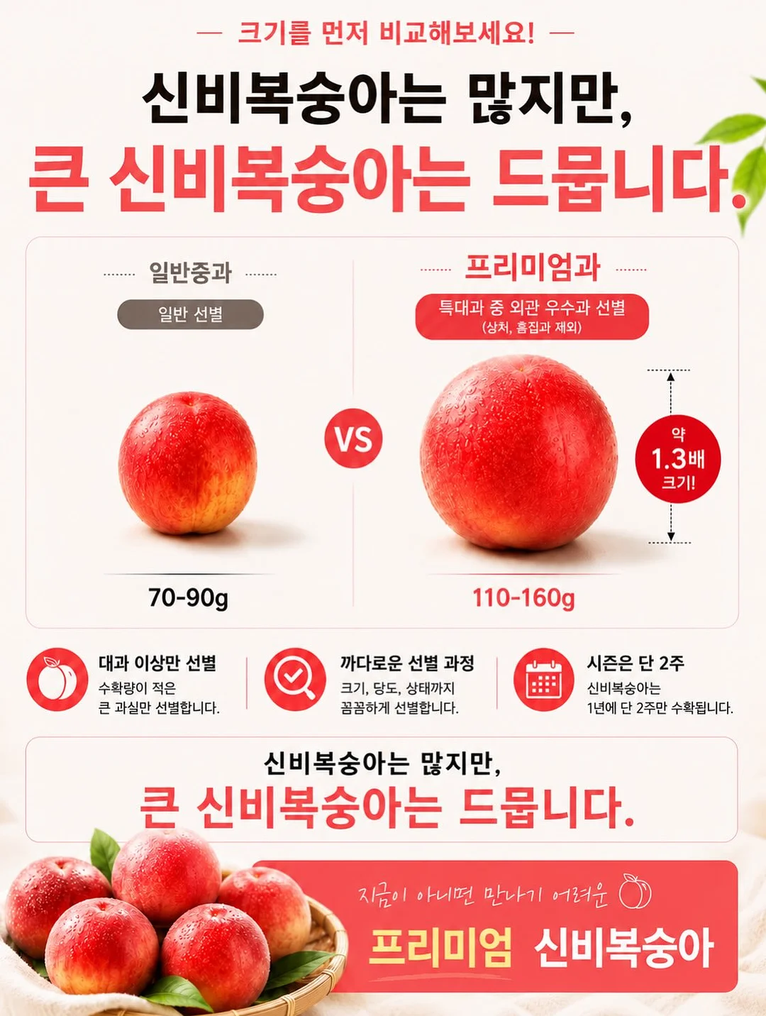 욕실 배수구 커버 13
