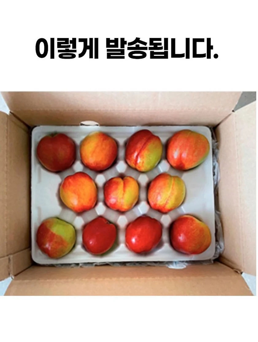 욕실 배수구 커버 14