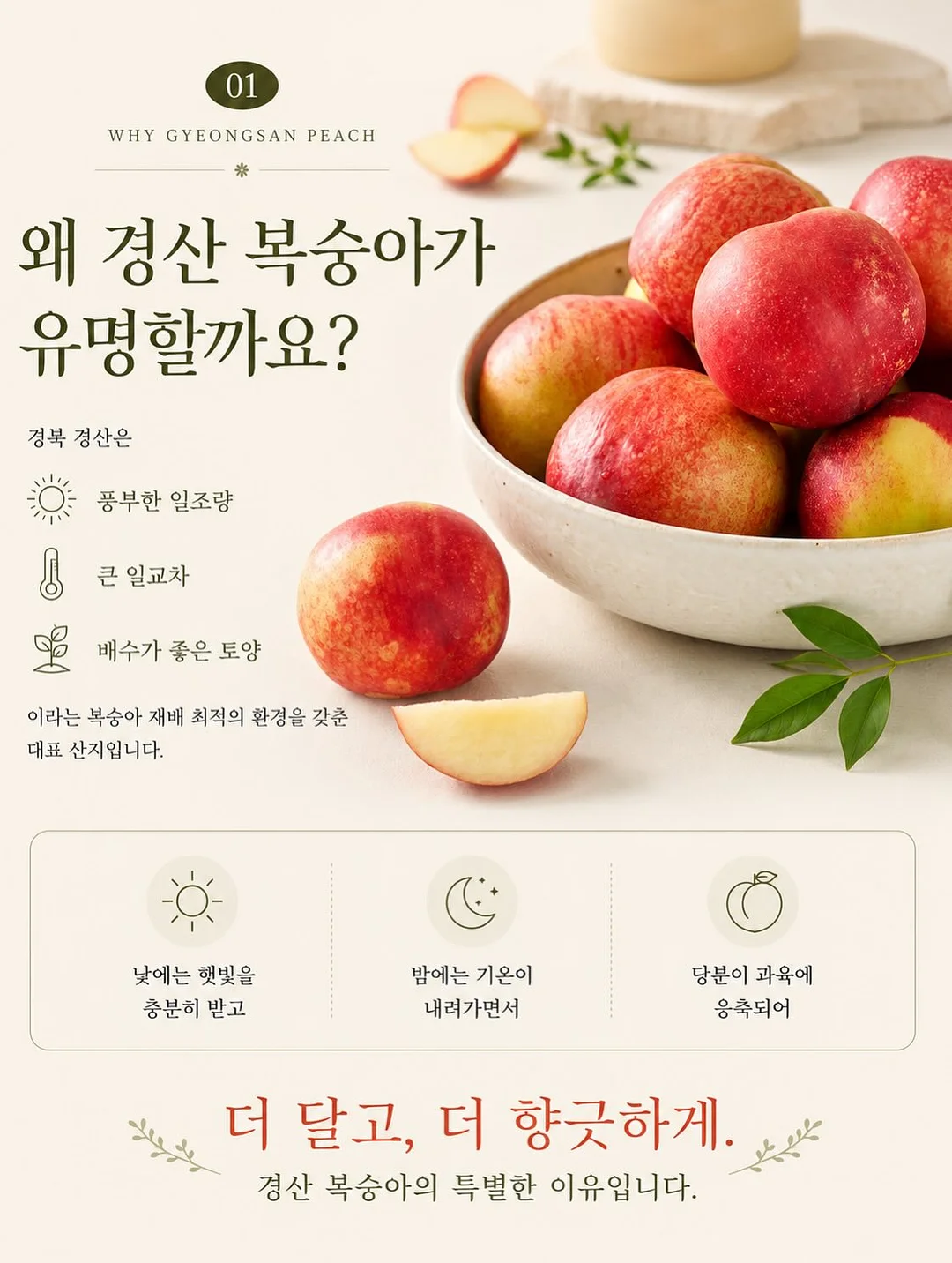 욕실 배수구 커버 18