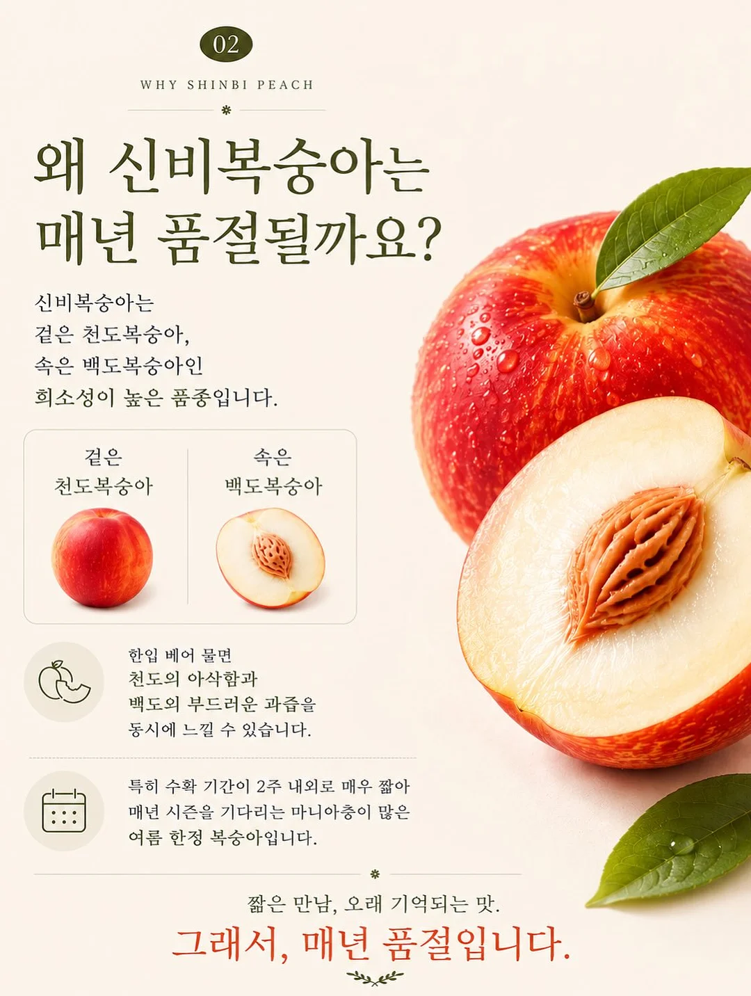욕실 배수구 커버 19