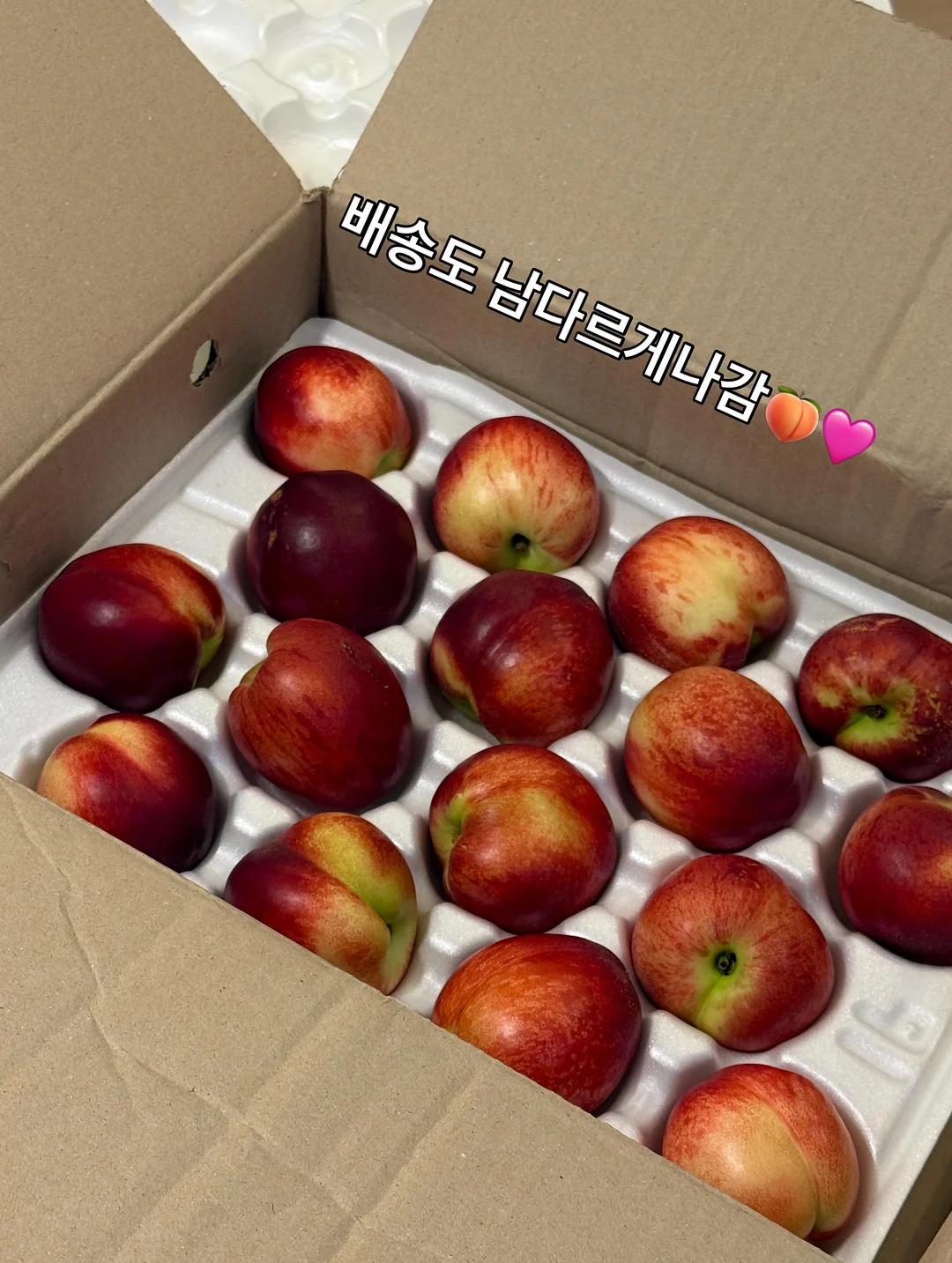 욕실 배수구 커버 2