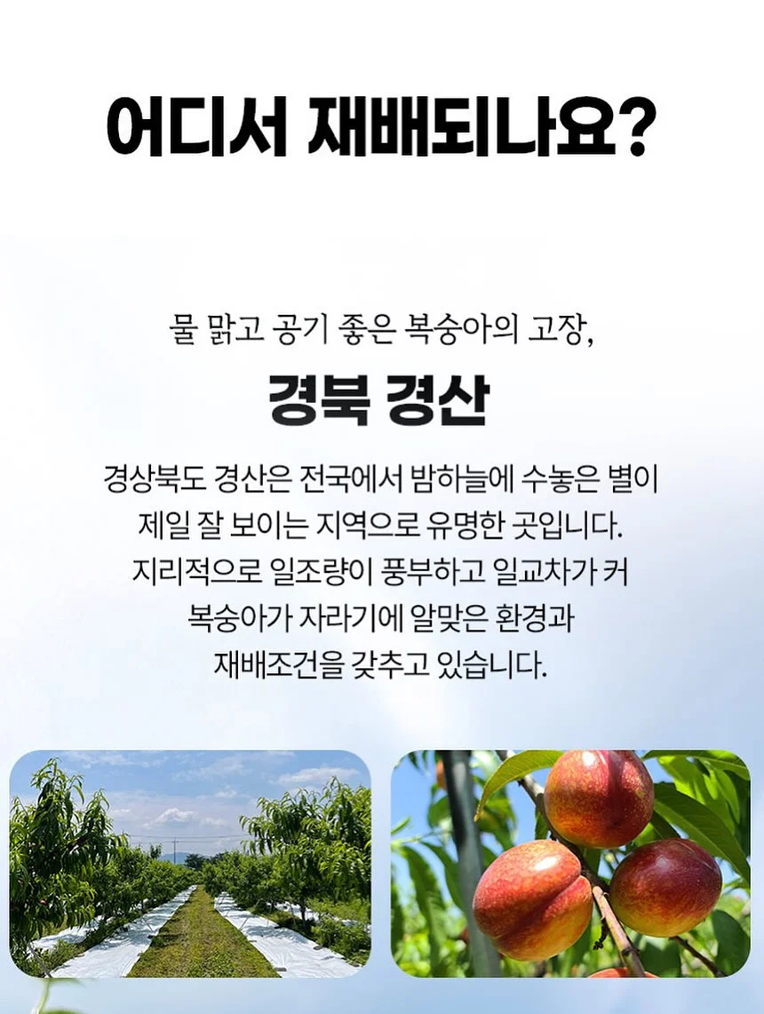 욕실 배수구 커버 6
