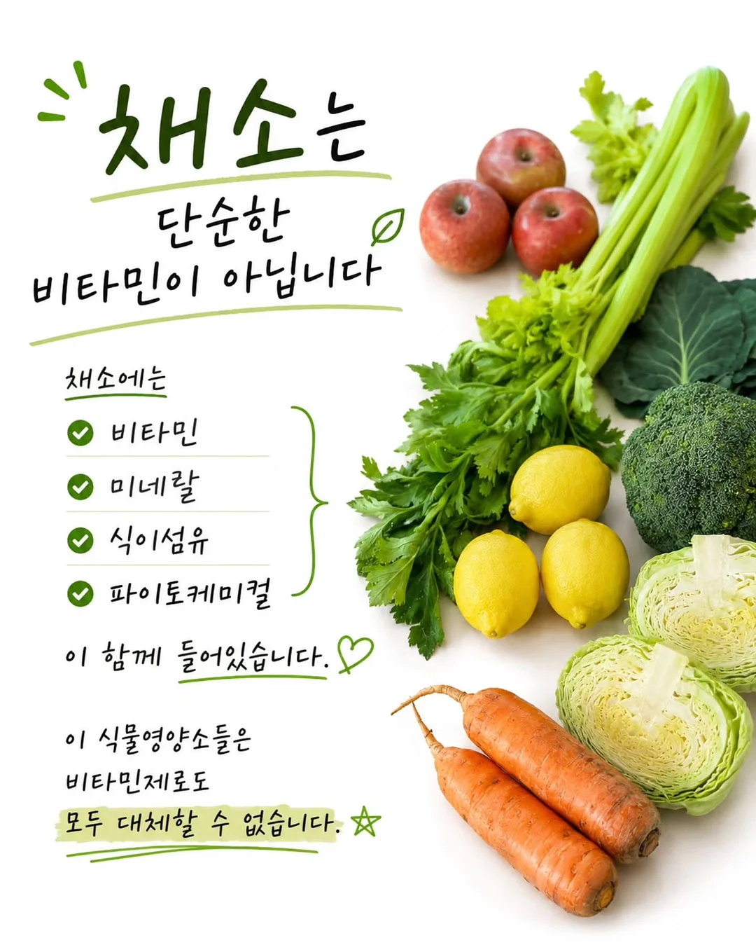 미미씨엘 플리츠 3
