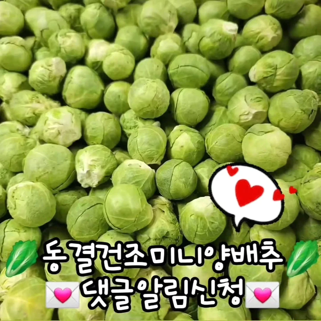 자동 분리 충전기