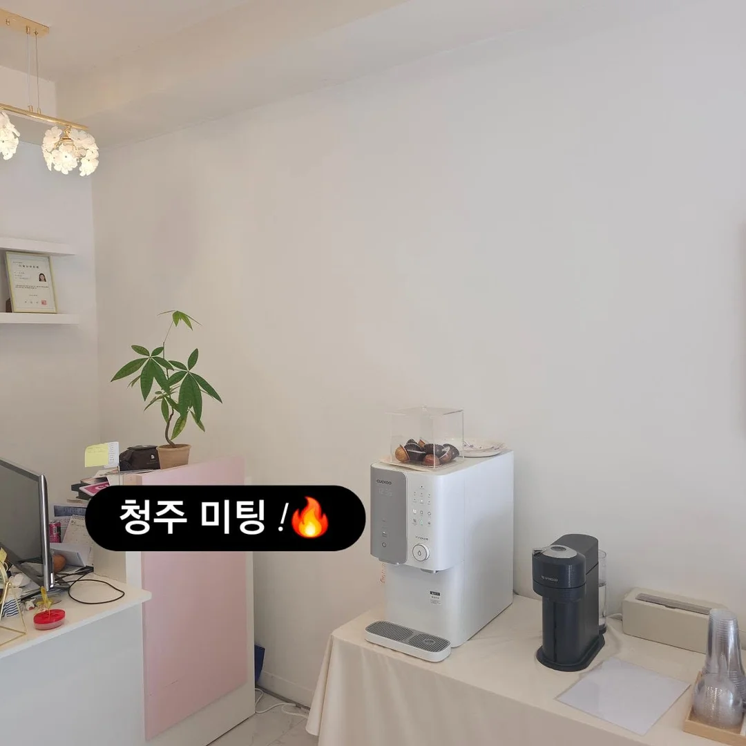 카네이션 사진 토퍼 2