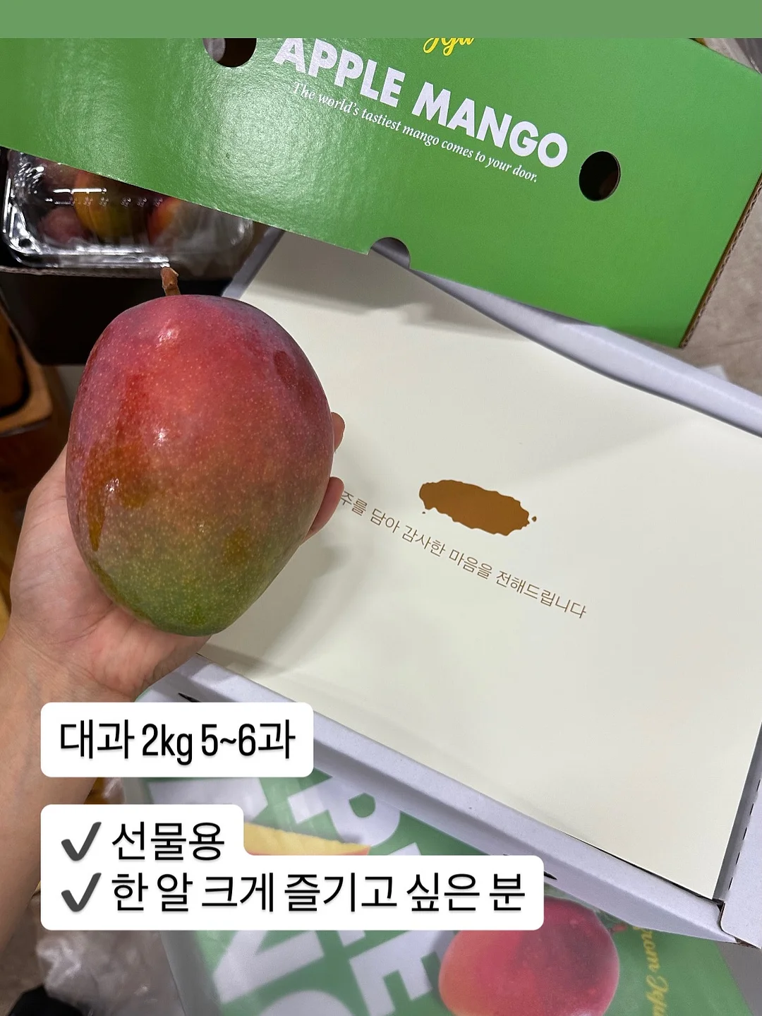 페리페라 무드 글로이 틴트 키 11