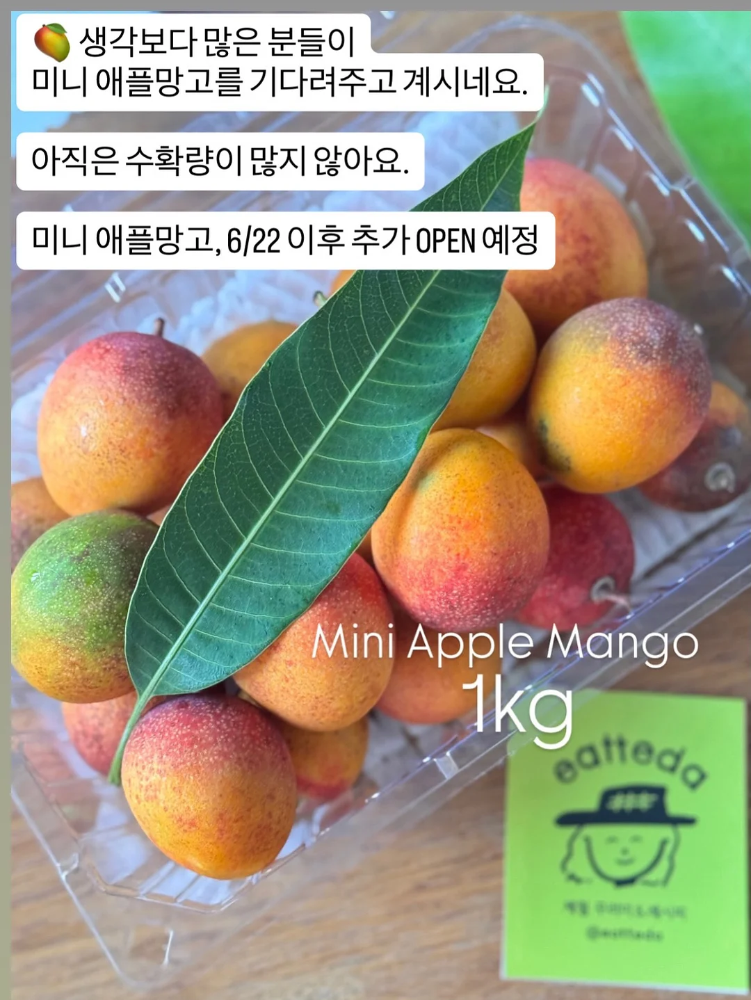 페리페라 무드 글로이 틴트 키 13