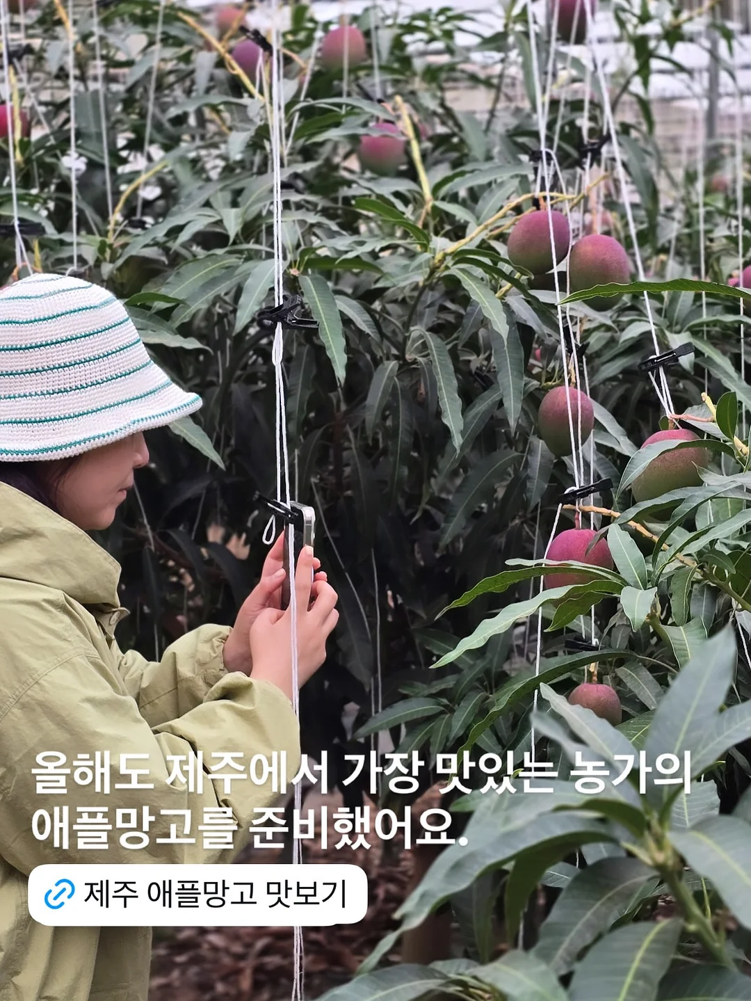 페리페라 무드 글로이 틴트 키 7