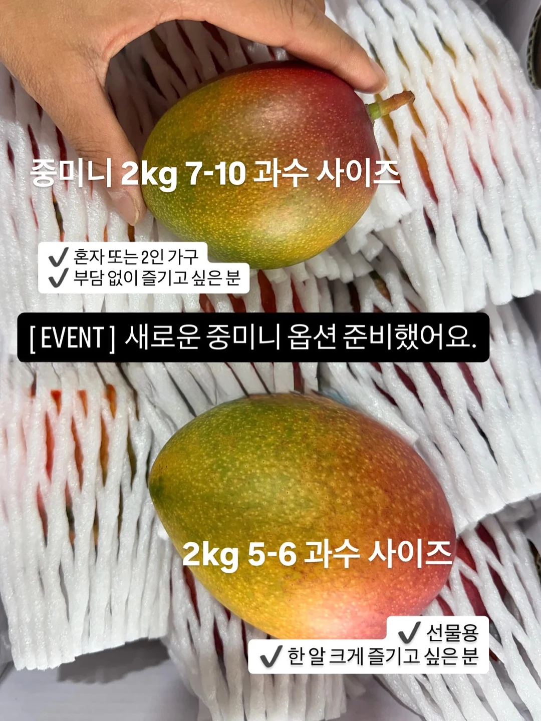 페리페라 무드 글로이 틴트 키 9
