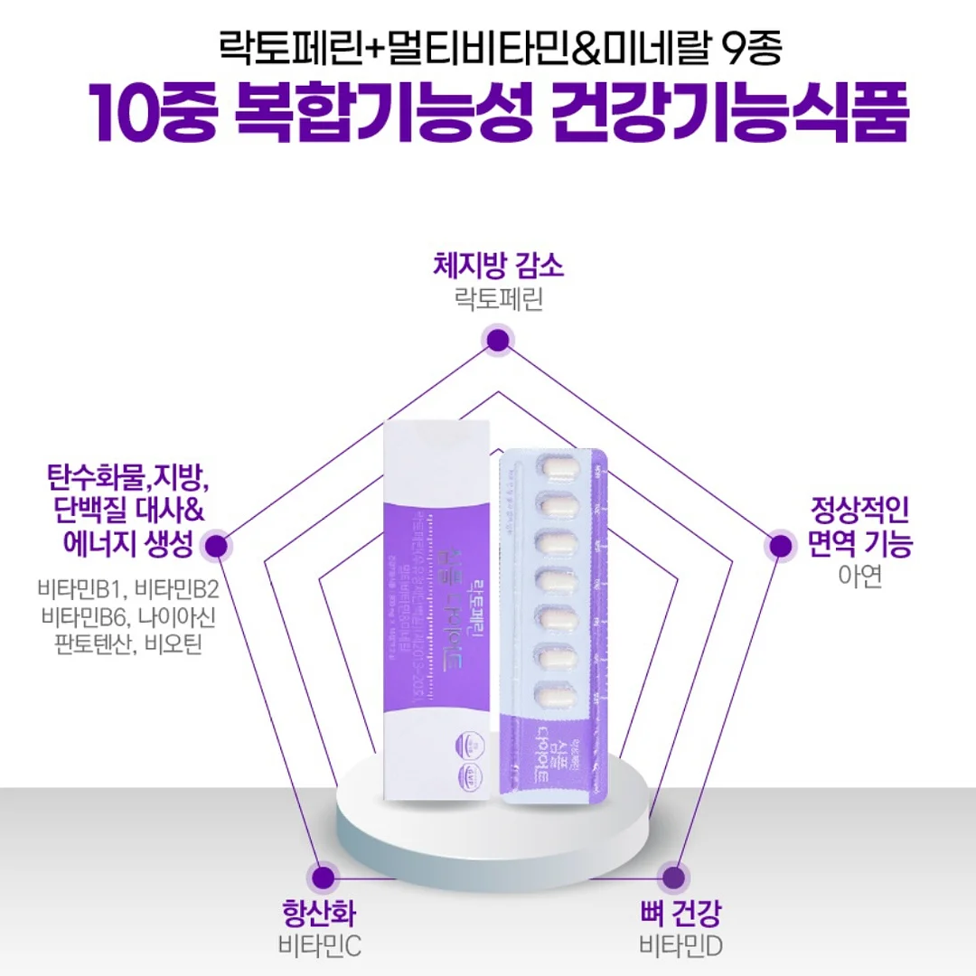 고양이 숨숨집 14